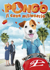 Millionaire Dog